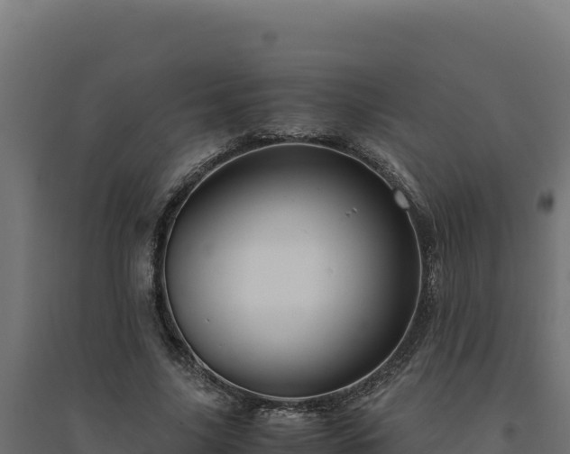 X0000094780635200711241340