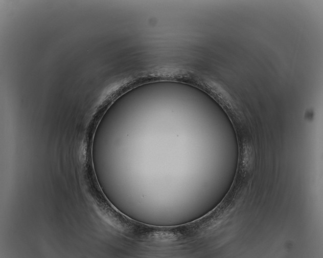 X0000094780636200711241340