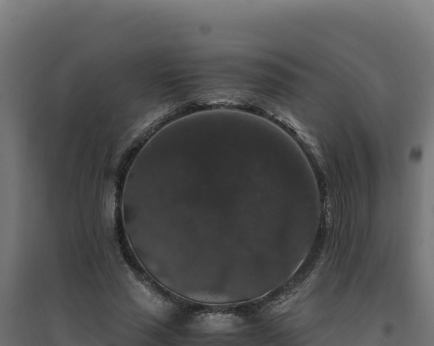 X0000094780637200711241340