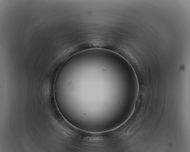 X0000094780639200711241340