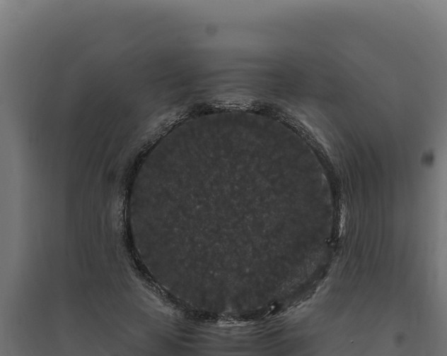 X0000094780641200711241340