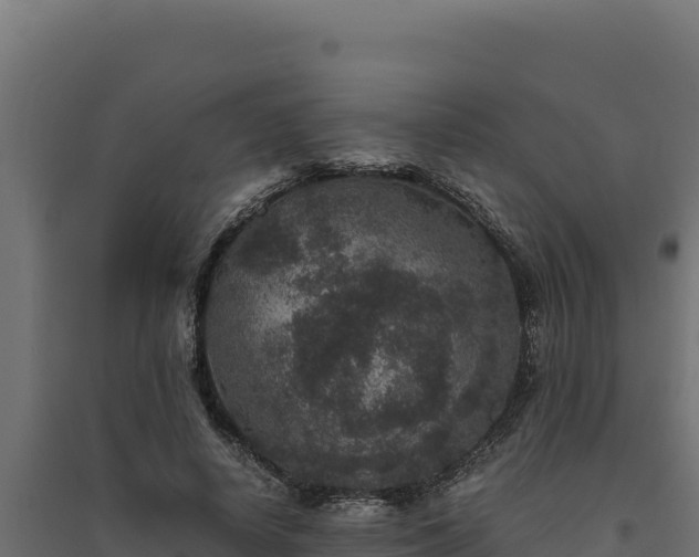 X0000094780642200711241340