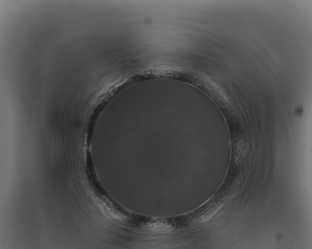 X0000094780644200711241340