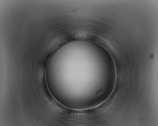 X0000094780645200711241340