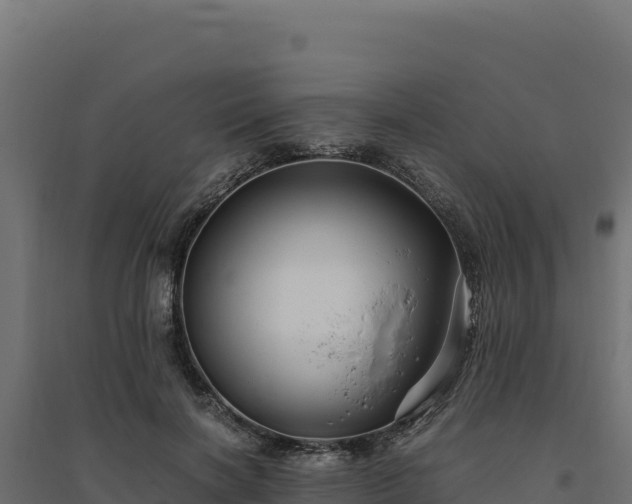 X0000094780646200711241340