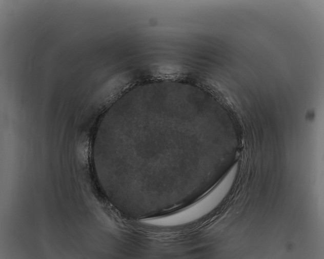 X0000094780647200711241340