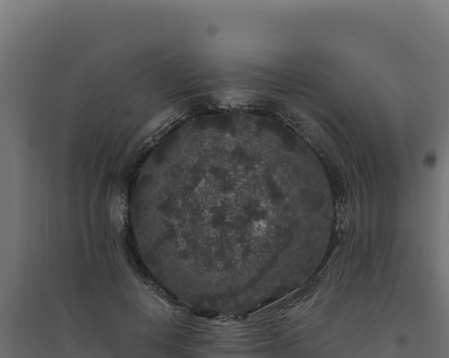 X0000094780648200711241340
