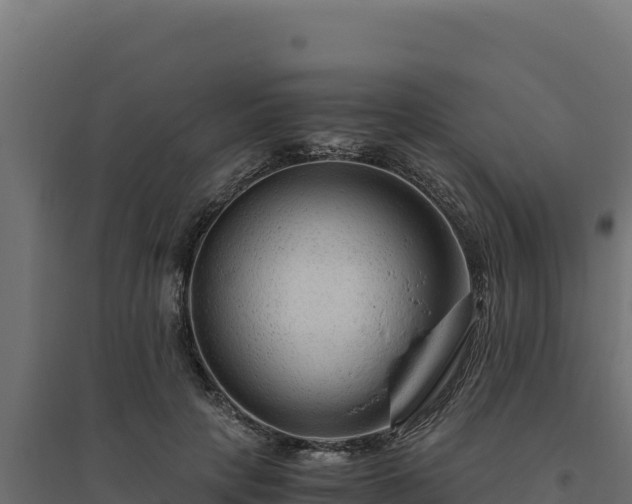 X0000094780649200711241340