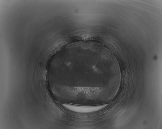 X0000094780650200711241340