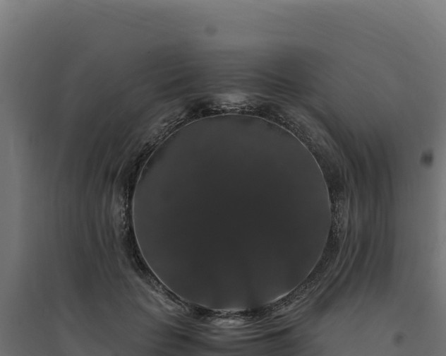 X0000094780653200711241340