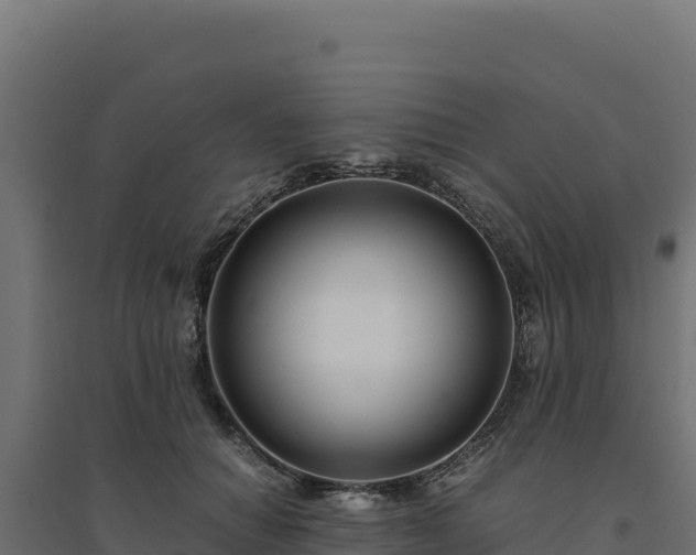X0000094780654200711241340