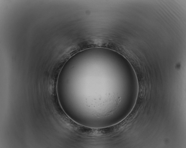 X0000094780656200711241340