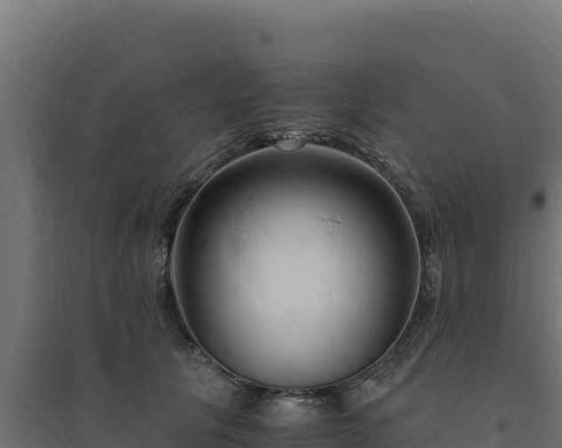 X0000094780657200711241340