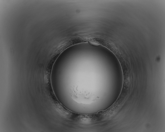 X0000094780658200711241340