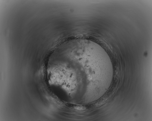X0000094780659200711241340