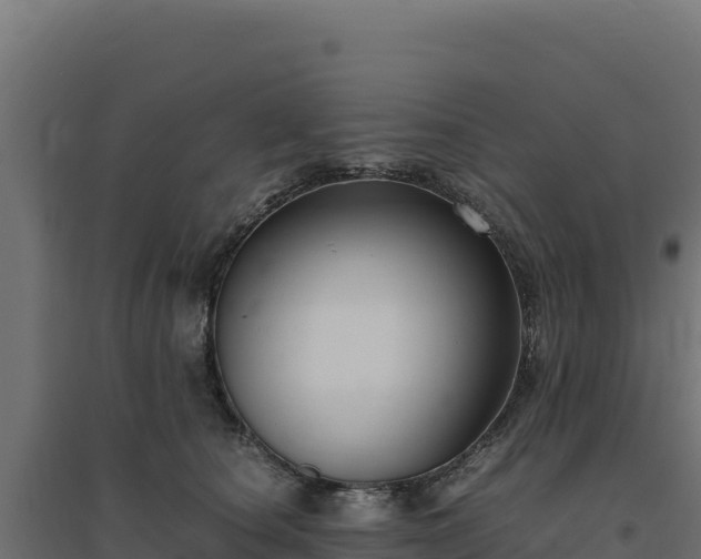 X0000094780660200711241340