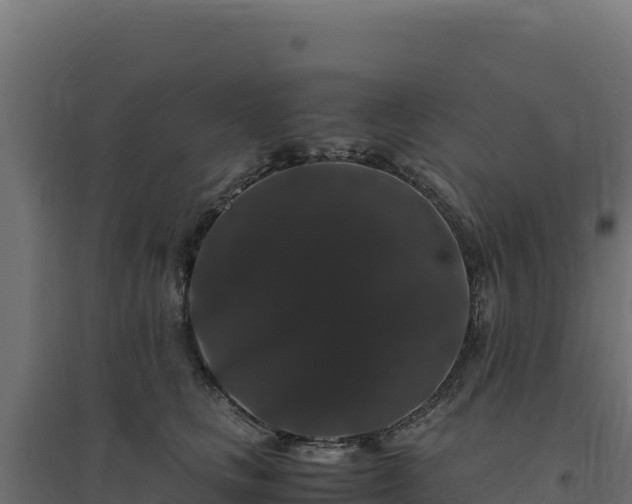 X0000094780661200711241340