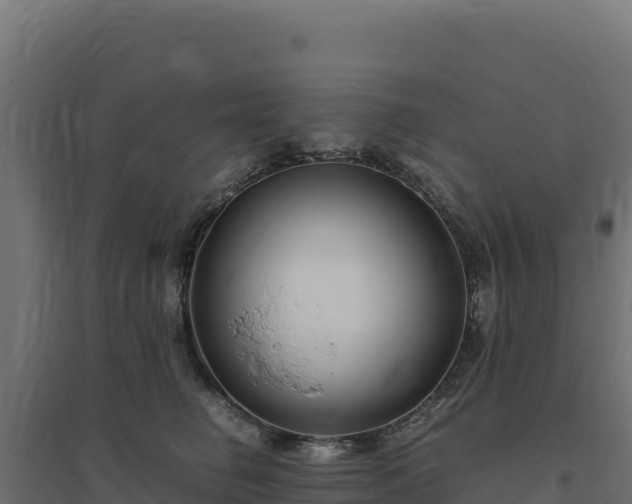 X0000094780662200711241340