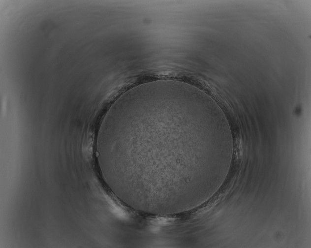 X0000094780664200711241340