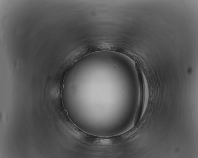 X0000094780665200711241340