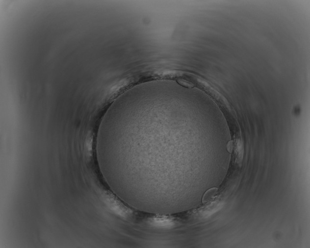 X0000094780668200711241340