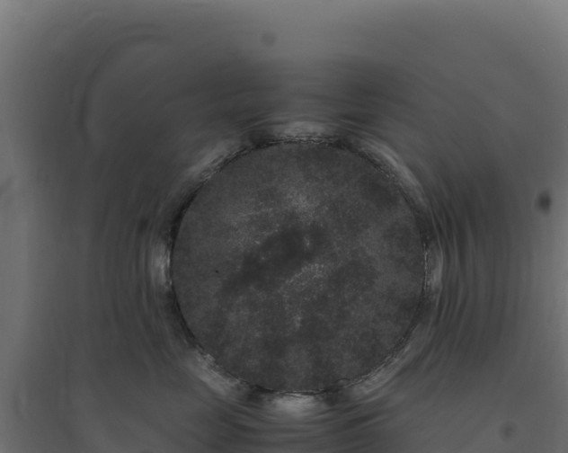 X0000094780669200711241340