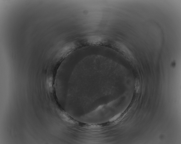 X0000094780670200711241340
