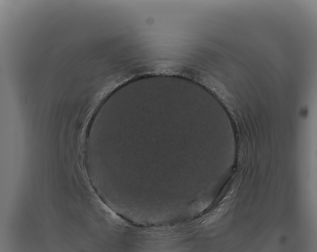 X0000094780673200711241339