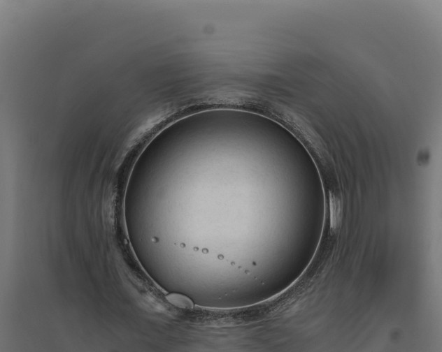 X0000094780675200711241339