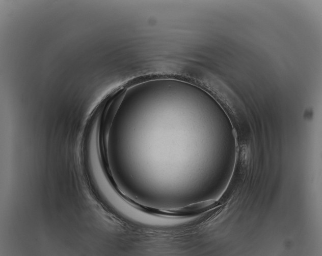 X0000094780676200711241339