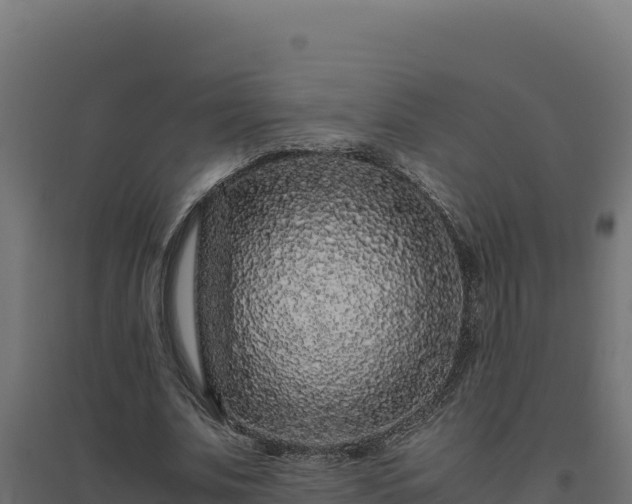 X0000094780679200711241339