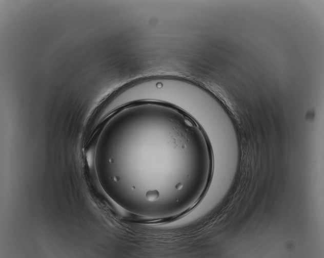X0000094780680200711241339