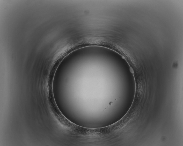X0000094780682200711241339