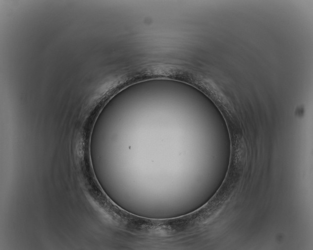 X0000094780683200711241339