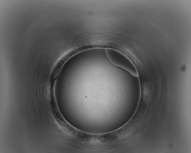X0000094780684200711241339