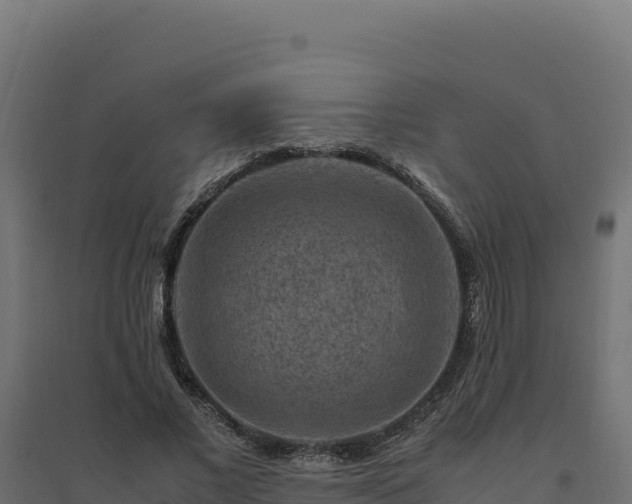 X0000094780685200711241339