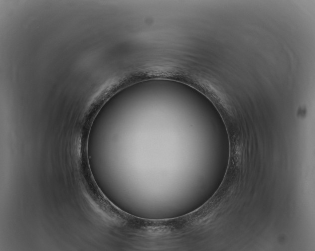 X0000094780686200711241339
