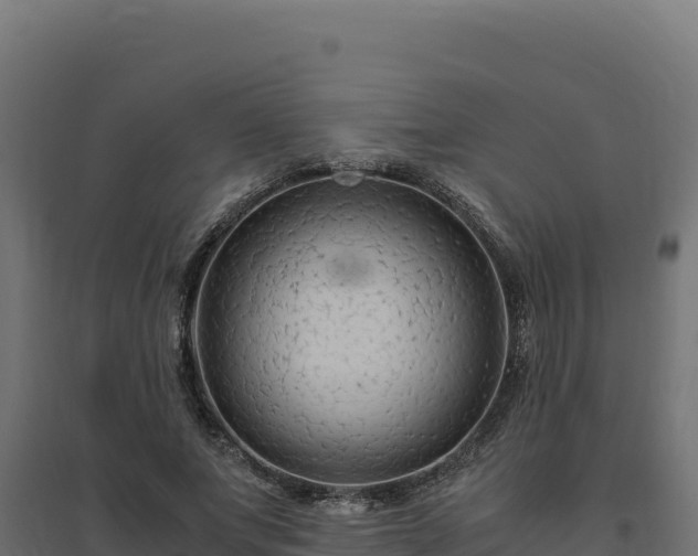 X0000094780687200711241339