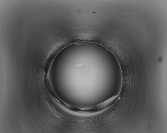 X0000094780688200711241339