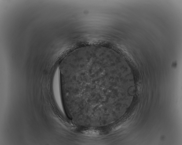 X0000094780691200711241339