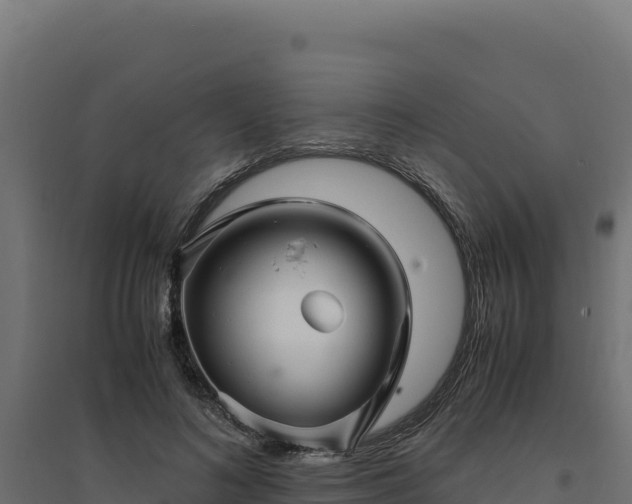 X0000094780692200711241339