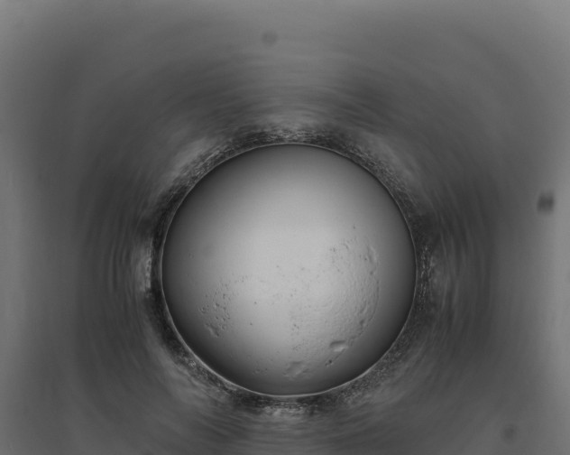 X0000094780694200711241339