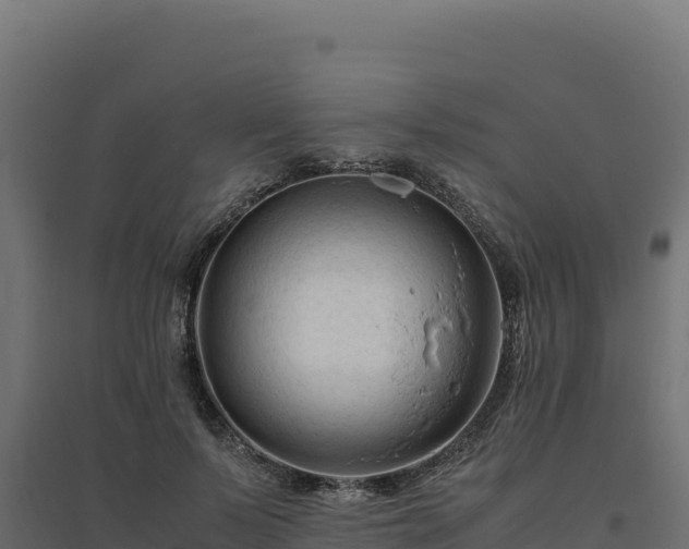 X0000094780695200711241339