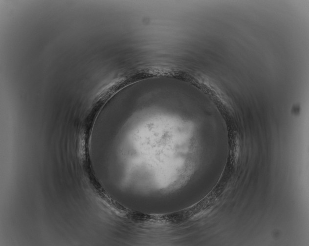 X0000094780696200711241339