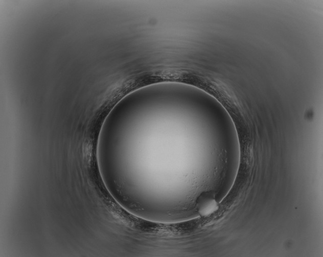 X0000094780697200711241339