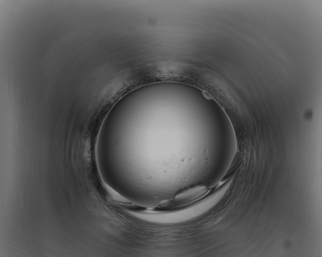 X0000094780700200711241339