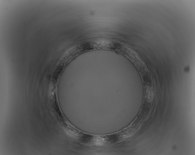 X0000094780701200711241339