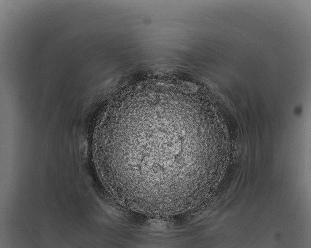X0000094780703200711241339