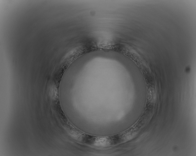 X0000094780705200711241339