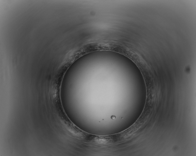 X0000094780706200711241339